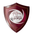 الدرعية